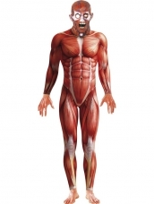 Aanbieding Anatomy Man Second Skin Morph Suit Verkleedkleding